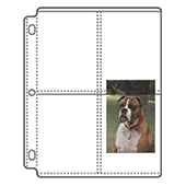 EZ2C® Page, Holds 8- 4¼" x 5¼" (25/pk)