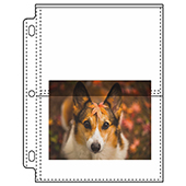 Century Vinyl Photo Pages, Holds 4 - 5x7 (25/pk)